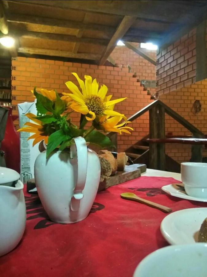 Villa Morena Benessere Florianópolis 外观 照片