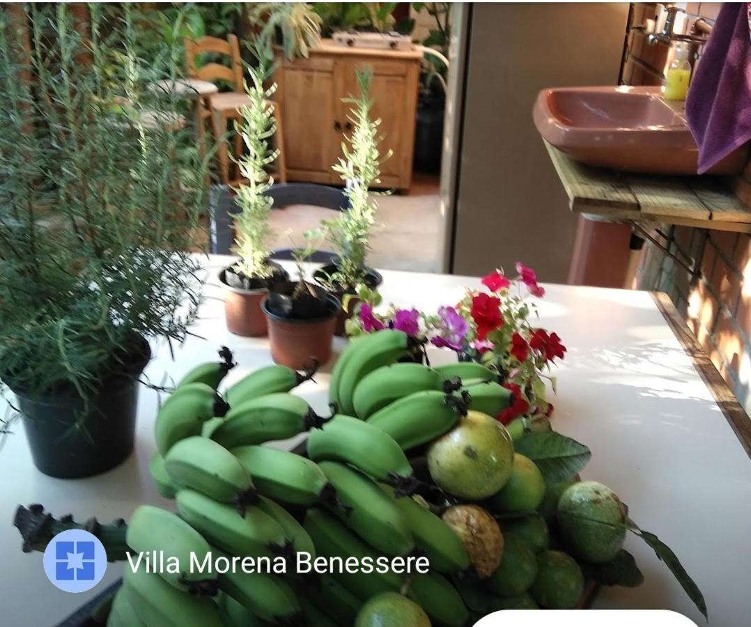 Villa Morena Benessere Florianópolis 外观 照片