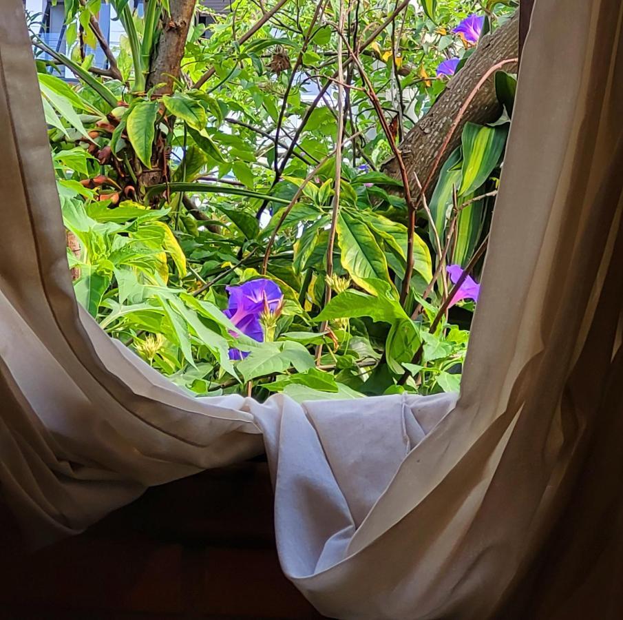 Villa Morena Benessere Florianópolis 外观 照片