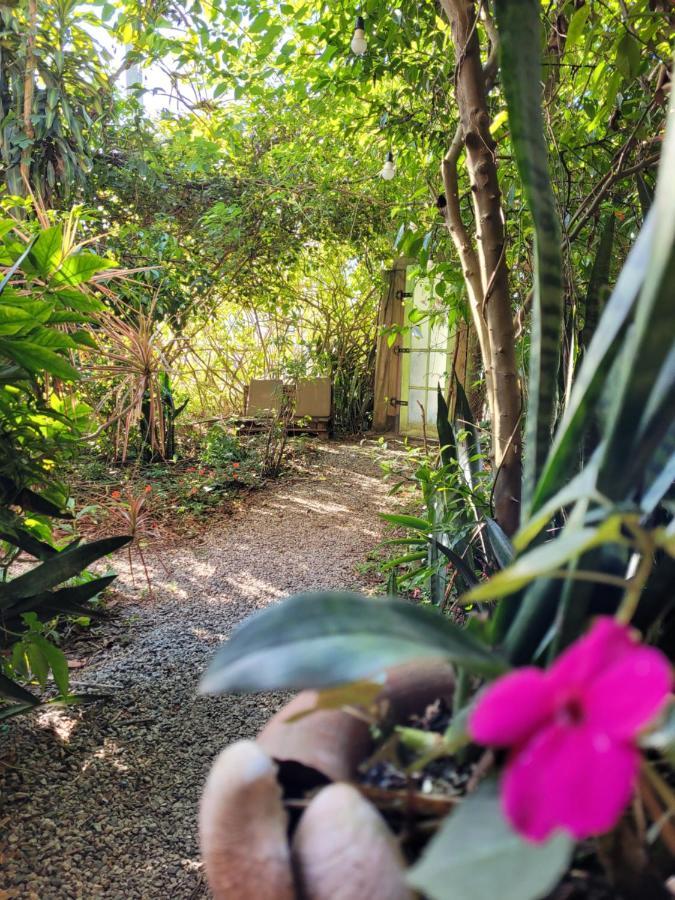 Villa Morena Benessere Florianópolis 外观 照片